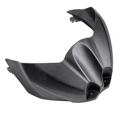 Carbon Deckel LIGHTECH SUZUKI GSX-R 1000/R 17-20