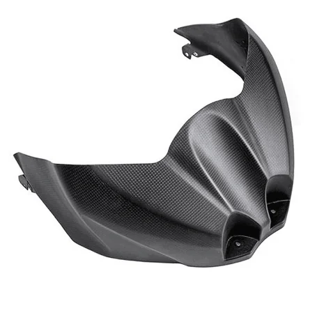 Carbon Deckel LIGHTECH SUZUKI GSX-R 1000/R 17-20