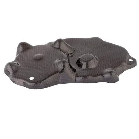 Protectors Co- LIGHTECH KAWASAKI