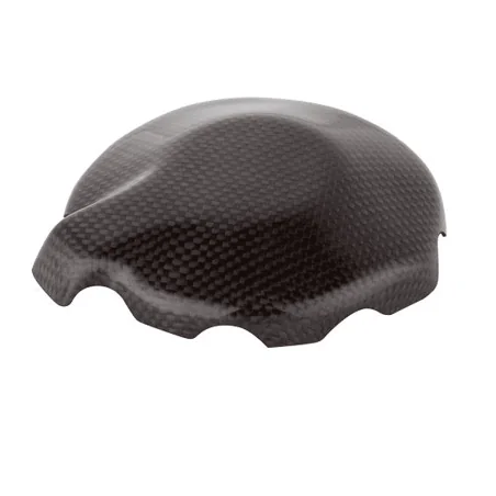 Tapa Alternador Carbono LIGHTECH KAWASAKI