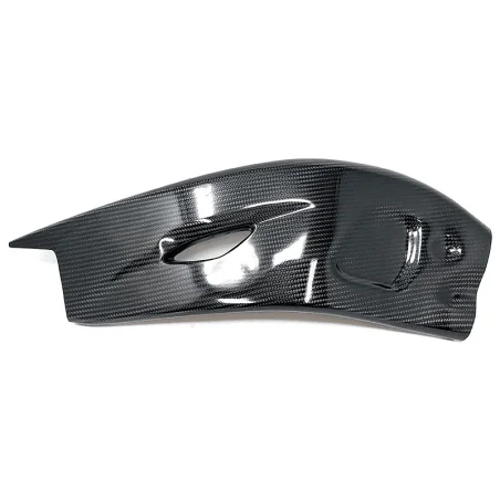 Schwingenschutz CARBON EXTREME COMPONENTS HONDA CBR 1000 RR-R/SP 20-21