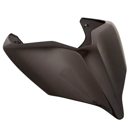 Colin / Aiento Carbono LIGHTECH DUCATI PANIGALE V4/S/R