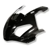 Carbon Frontverkleidung ILMBERGER CARBON BMW REF: VEO.001.S100S.K