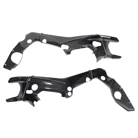 Protectores Chasis Carbono LIGHTECH BMW S 1000RR 19-20
