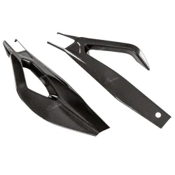 LIGHTECH Carbon Schwingenschutz BMW S1000 RR 19-20 REF: CARD1040