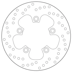 Oro- Brembo -Platten 2