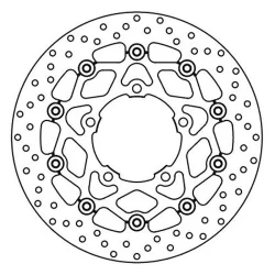 Oro- Brembo -Platten 2