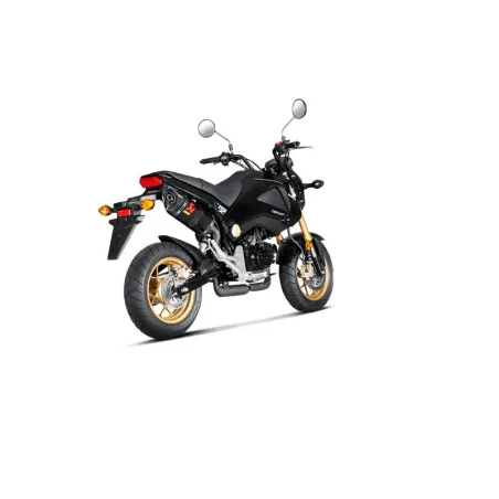 AKRAPOVIC CARBON-DÄMPFER HONDA MSX 125 2013-2016