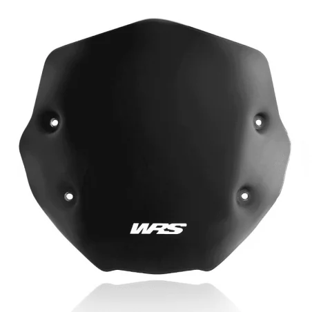 PARABRISAS WRS SPORT BMW R1250R 2019-2020
