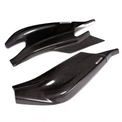 CARBON 2 RACE Protectores Basculante Carbono BMW S 1000R 2014-2019