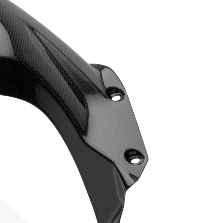 Guardabarros Trasero Carbono CARBON 2 RACE DUCATI PANIGALE V4