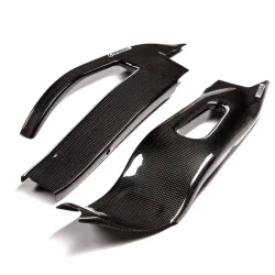CARBON 2 RACE Protectores Basculante Carbono HONDA CBR 1000RR 2004-2007