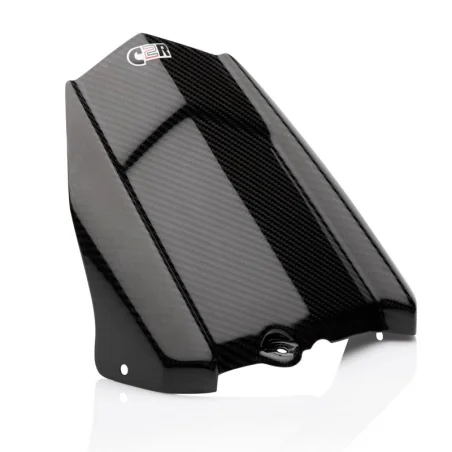 CARBON 2 RACE Guardabarros trasero Carbono YAMAHA MT09 / FZ09 2013-2020