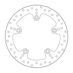 Oro- Brembo -Platten 2