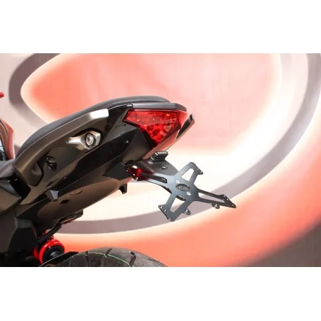 Porta matrícula Kawasaki ER6N '12-16