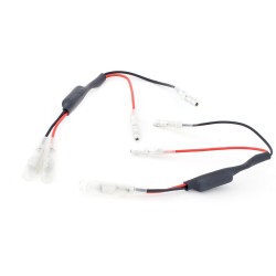 Resistencias 21W