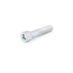 Tornillo de recambio EVOTECH  acero 8.8 TCCE M12X50