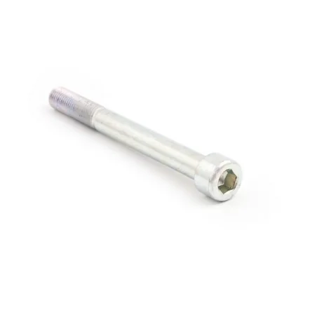 Tornillo EVOTECH de recambio acero 8.8 TCCE M10X90X1.50