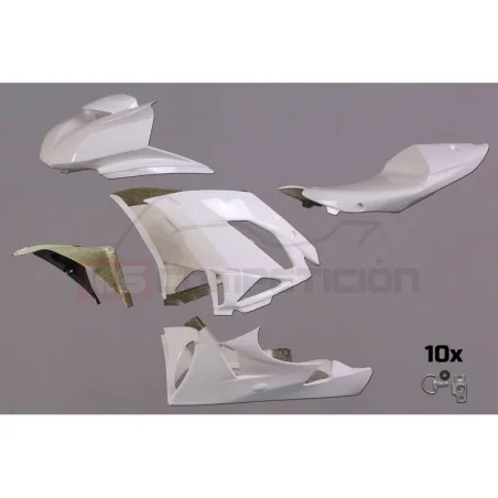 TF SUPERBIKE CARENADO DE FIBRA KAWASAKI ZX6R 2009-2012