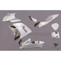 TF SUPERBIKE CARENADO DE FIBRA KAWASAKI ZX10R 2008-2010
