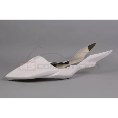 copy of FRONTAL FIBRA DE VIDRIO TF SUPERBIKE APRILIA RS660 2020-2022