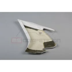 copy of FRONTAL FIBRA DE VIDRIO TF SUPERBIKE APRILIA RS660 2020-2022 2