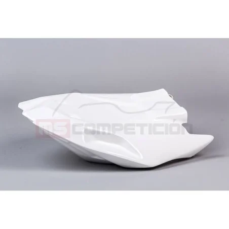 TF SUPERBIKE COLIN ORIGINAL FIBRA DE VIDRIO BMW S 1000 RR 2019-2021