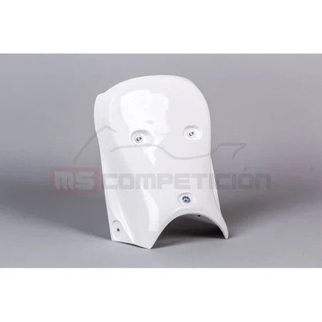 copy of FRONTAL FIBRA DE VIDRIO TF SUPERBIKE APRILIA RS660 2020-2022