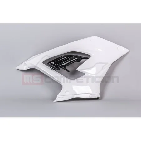 copy of FRONTAL FIBRA DE VIDRIO TF SUPERBIKE APRILIA RS660 2020-2022