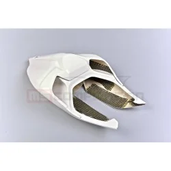 TF SUPERBIKE COLIN ORIGINAL FIBRA DE VIDRIO DUCATI 1299 PANIGALE