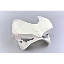 TF SUPERBIKE FRONTAL FIBRA DE VIDRIO DUCATI 1299 PANIGALE