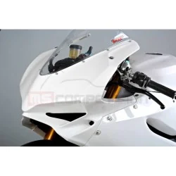 TF SUPERBIKE FRONTAL FIBRA DE VIDRIO DUCATI 1299 PANIGALE 2