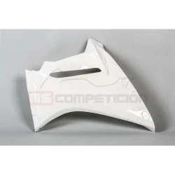 copy of FRONTAL FIBRA DE VIDRIO TF SUPERBIKE APRILIA RS660 2020-2022 2