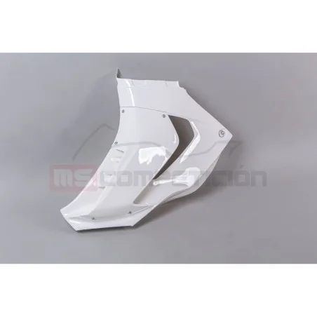 copy of FRONTAL FIBRA DE VIDRIO TF SUPERBIKE APRILIA RS660 2020-2022