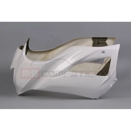copy of FRONTAL FIBRA DE VIDRIO TF SUPERBIKE APRILIA RS660 2020-2022