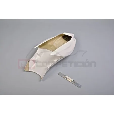 TF SUPERBIKE COLIN RACING FIBRA DE VIDRIO KAWASAKI ZX-10R 2016-2021