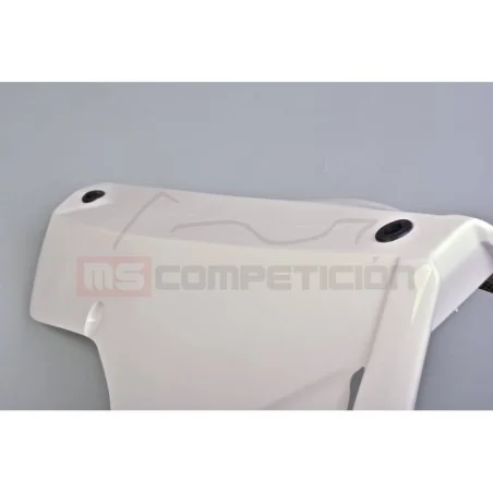 copy of FRONTAL FIBRA DE VIDRIO TF SUPERBIKE APRILIA RS660 2020-2022