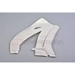 TF SUPERBIKE LATERAL DERECHO FIBRA DE VIDRIO KAWASAKI ZX-10R 2016-2021