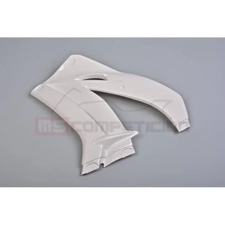 copy of FRONTAL FIBRA DE VIDRIO TF SUPERBIKE APRILIA RS660 2020-2022