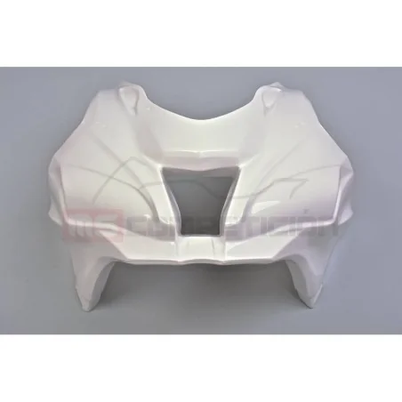 TF SUPERBIKE FRONTAL FIBRA DE VIDRIO KAWASAKI ZX-10R 2016-2021