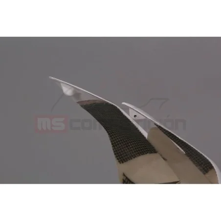 copy of FRONTAL FIBRA DE VIDRIO TF SUPERBIKE APRILIA RS660 2020-2022