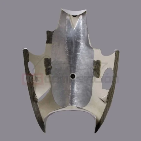 copy of FRONTAL FIBRA DE VIDRIO TF SUPERBIKE APRILIA RS660 2020-2022