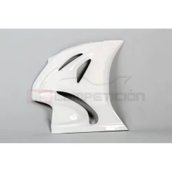 copy of FRONTAL FIBRA DE VIDRIO TF SUPERBIKE APRILIA RS660 2020-2022