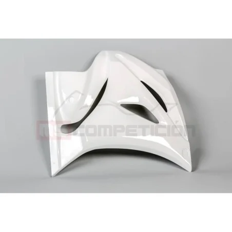 copy of FRONTAL FIBRA DE VIDRIO TF SUPERBIKE APRILIA RS660 2020-2022