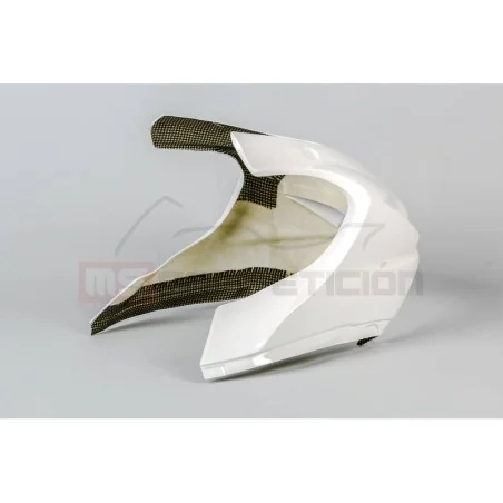 TF SUPERBIKE FRONTAL FIBRA DE VIDRIO SUZUKI GSX-R 1000 2017-2021