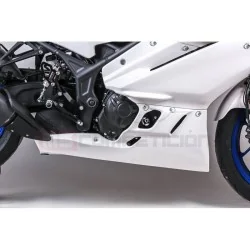 copy of FRONTAL FIBRA DE VIDRIO TF SUPERBIKE APRILIA RS660 2020-2022