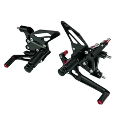 copy of AFFE ALPINESTARS GP KRAFT SCHWARZ