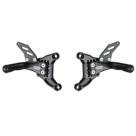 copy of AFFE ALPINESTARS GP KRAFT SCHWARZ