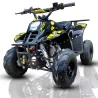 MINIQUAD IMR WR6 SCORPION 110 1+R 4T