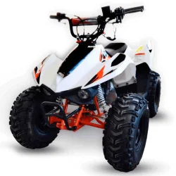 MINIQUAD ATV 70 IMR 4 T